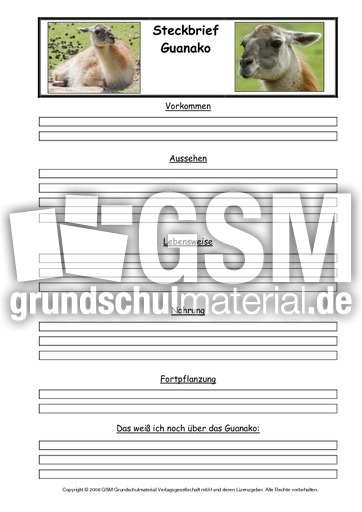 Guanako-Steckbriefvorlage.pdf